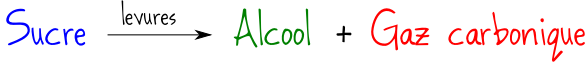 fermentation alcoolique